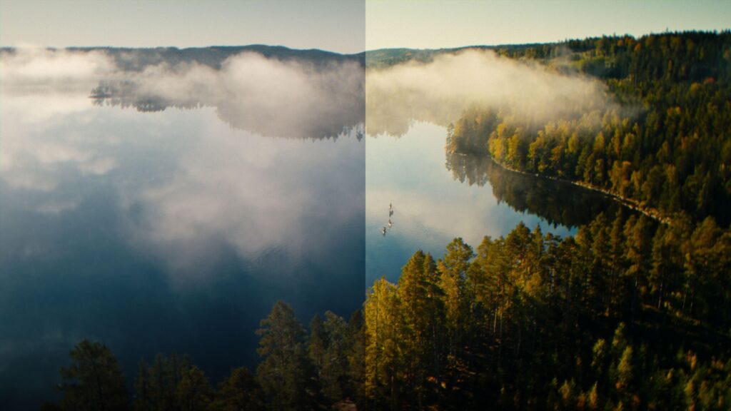 Arial view
